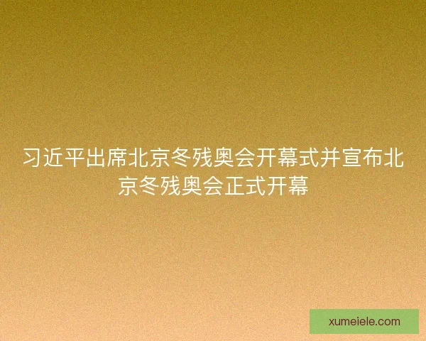 习近平出席北京冬残奥会开幕式并宣布北京冬残奥会正式开幕