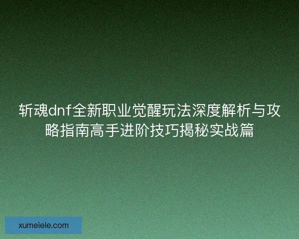 斩魂dnf全新职业觉醒玩法深度解析与攻略指南高手进阶技巧揭秘实战篇